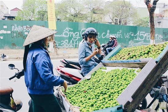 Bán nhót đỏ, mận chát thu lãi cả chục triệu/ngày thì chắc kéo nhau đi bán hàng rong hết! - Ảnh 13.