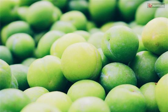 Bán nhót đỏ, mận chát thu lãi cả chục triệu/ngày thì chắc kéo nhau đi bán hàng rong hết! - Ảnh 3.