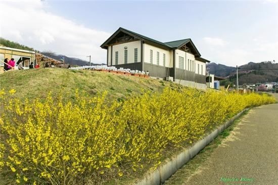 Mua xuan ngap sac hoa o xu Phu Tang hinh anh 12