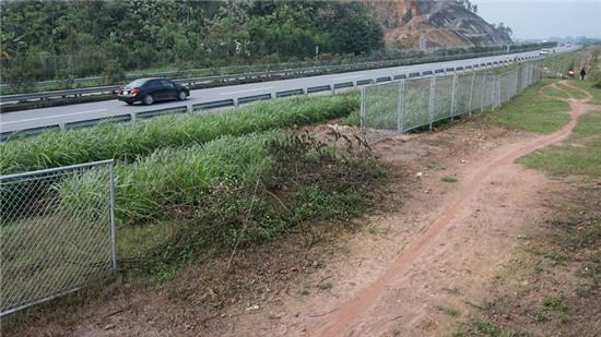 cao tốc Nội Bài - Lào Cai, vi phạm giao thông