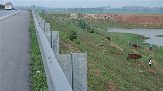 cao tốc Nội Bài - Lào Cai, vi phạm giao thông