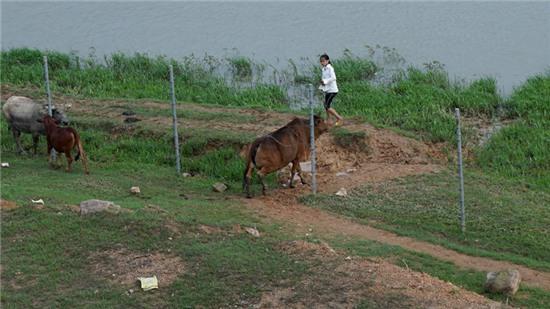cao tốc Nội Bài - Lào Cai, vi phạm giao thông