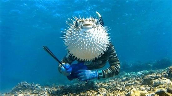 khoanh-khac-hai-huoc