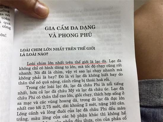 Lạc đà là loài chim lớn nhất thế giới: Cũng có sự liên quan nhẹ - Ảnh 1.