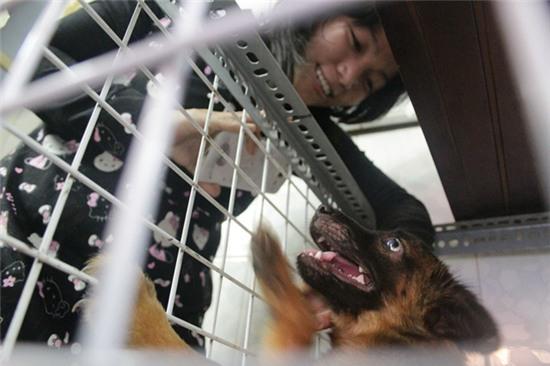 Cô gái 9X, cưu mang thú cưng, Sài Gòn, chó, mèo