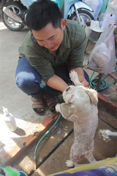 Cô gái 9X, cưu mang thú cưng, Sài Gòn, chó, mèo