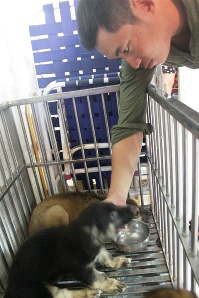 Cô gái 9X, cưu mang thú cưng, Sài Gòn, chó, mèo