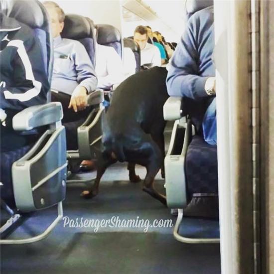 Cư dân mạng tiếp tục bóc mẽ những hành khách khó đỡ nhất trên máy bay - Ảnh 15.