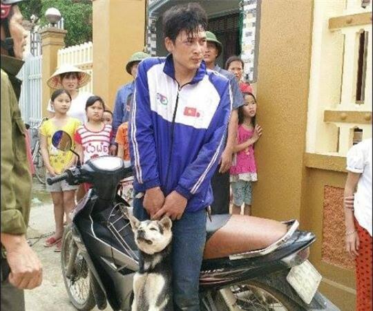  Kẻ trộm chó cùng tang vật bị người dân bắt giữ sau khi hung hãn đánh chủ nhà hòng bỏ trốn 