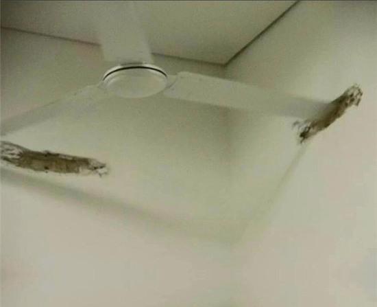 16 phát minh thiên tài nội thất mà người thường không thể hiểu nổi - Ảnh 7.