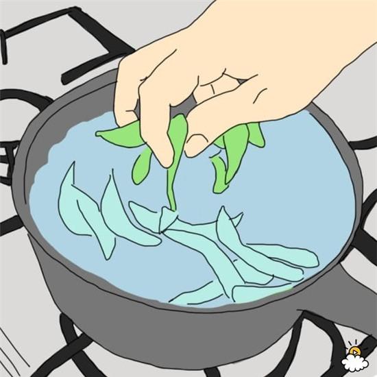 thực phẩm tốt cho âm đạo