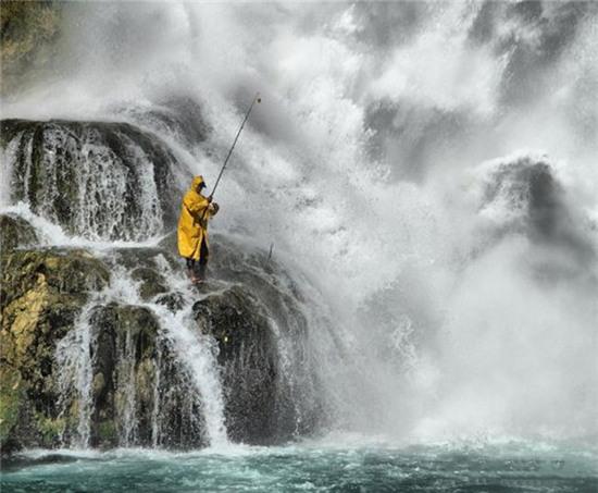 nhung hinh anh chi "can thu" moi co the hieu hinh anh 10