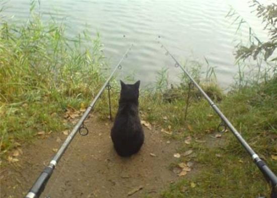 nhung hinh anh chi "can thu" moi co the hieu hinh anh 13