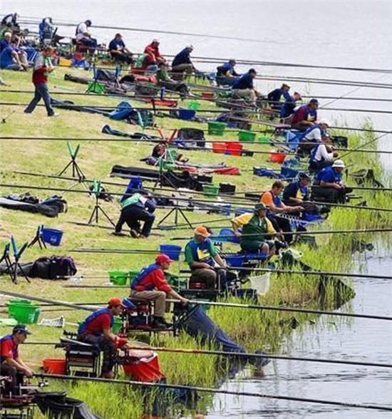 nhung hinh anh chi "can thu" moi co the hieu hinh anh 4