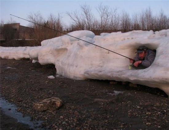 nhung hinh anh chi "can thu" moi co the hieu hinh anh 8