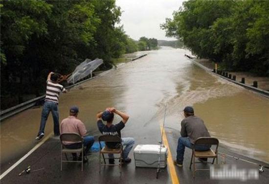 nhung hinh anh chi "can thu" moi co the hieu hinh anh 9