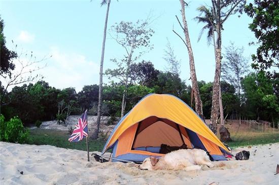Chuyến du lịch của chú cún và chủ chứng minh: Bạn gái không có, nhưng chó nhất định phải có một con! - Ảnh 4.
