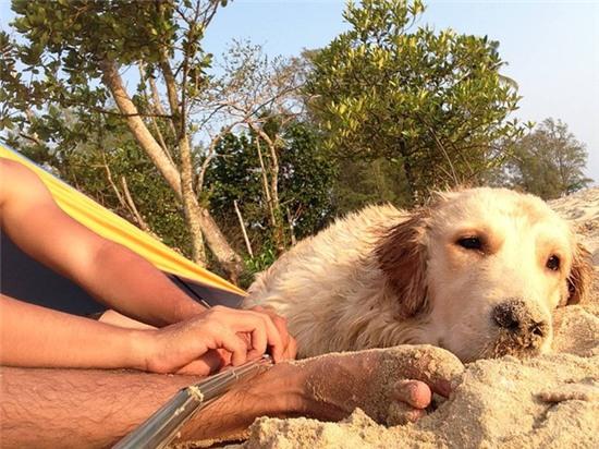 Chuyến du lịch của chú cún và chủ chứng minh: Bạn gái không có, nhưng chó nhất định phải có một con! - Ảnh 6.