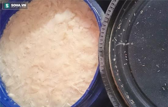 Nhiều thùng măng có lẫn giòi bò lúc nhúc với măng. (Ảnh: Tâm Thanh).