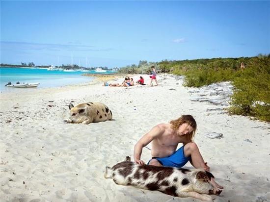 Hon dao day lon boi gioi, biet xin an hinh anh 8