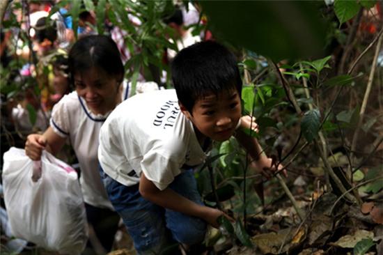 đền Hùng, chen chúc, băng rừng