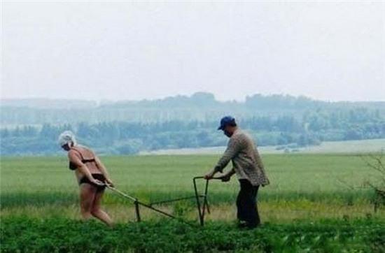 khoanh khac hai huoc cua cac cap vo chong hinh anh 7