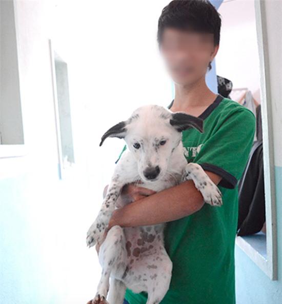 Kẻ bị tố cáo thú nhận đã bán gần 20 chú chó vào quán thịt cầy để có tiền... phát triển nhóm - Ảnh 2.