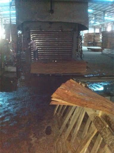 loi ke cua nan nhan vu no kinh hoang o nghe an hinh anh 1