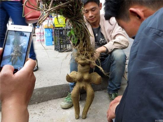 cu ha thu o co hinh dang giong voi nguoi phu nu khoa than hinh anh 1