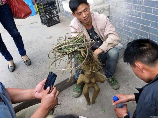 cu ha thu o co hinh dang giong voi nguoi phu nu khoa than hinh anh 2