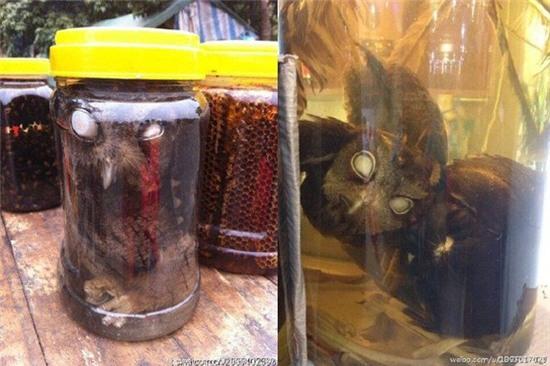 cu ha thu o co hinh dang giong voi nguoi phu nu khoa than hinh anh 4