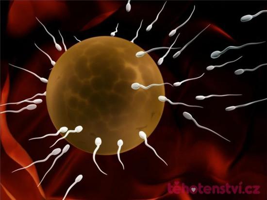 Tác hại khủng khiếp chưa bao giờ được biết đến khi ăn fastfood - Ảnh 1.