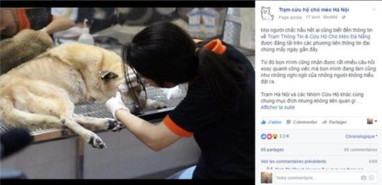 Không phải trạm cứu hộ nào cũng bán chó cho lò mổ - Ảnh 1.