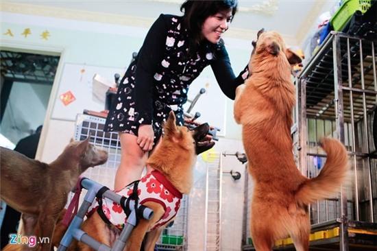 Không phải trạm cứu hộ nào cũng bán chó cho lò mổ - Ảnh 2.