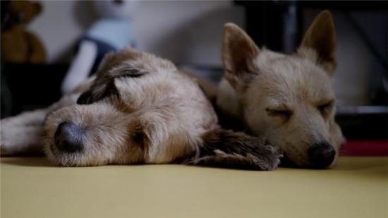 Lee Hyori: Đừng tưởng sống mộc mạc mà dễ, phải học cách từ bỏ trước đã! - Ảnh 10.