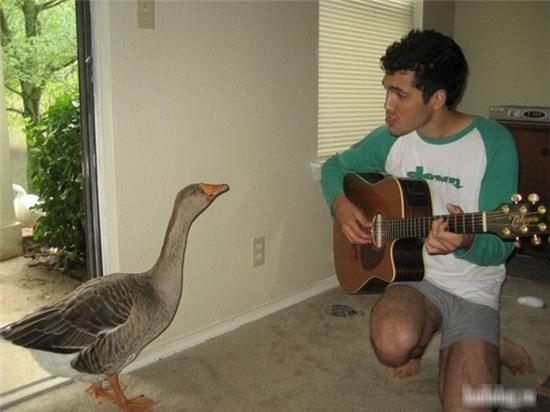 nhung hinh anh cu xem la lai phai... cuoi hinh anh 4