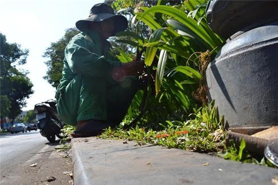 nắng nóng, sài gòn, trốn nắng, giải khát, công nhân, người di cư