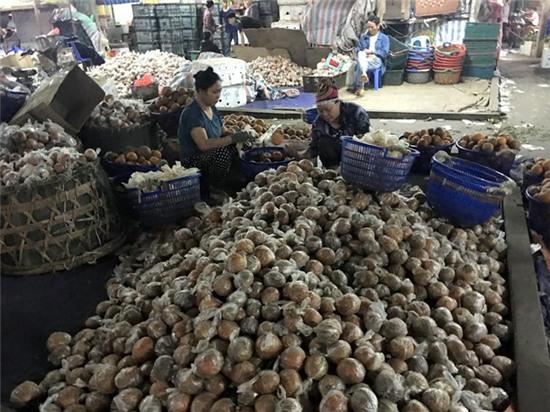 Sự thật cam Hà Giang quấn nilon ngập chợ Hà Nội - Ảnh 2.