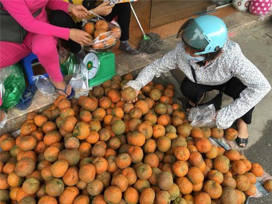 Sự thật cam Hà Giang quấn nilon ngập chợ Hà Nội - Ảnh 3.