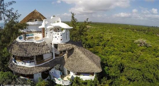 nhung ngoi nha tren cay cuc doc dao khap the gioi hinh anh 2