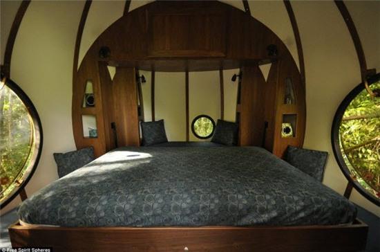 nhung ngoi nha tren cay cuc doc dao khap the gioi hinh anh 13