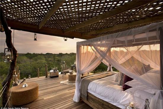 nhung ngoi nha tren cay cuc doc dao khap the gioi hinh anh 15