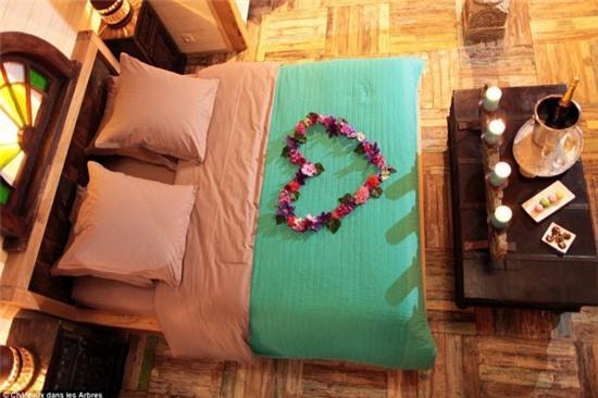 nhung ngoi nha tren cay cuc doc dao khap the gioi hinh anh 20