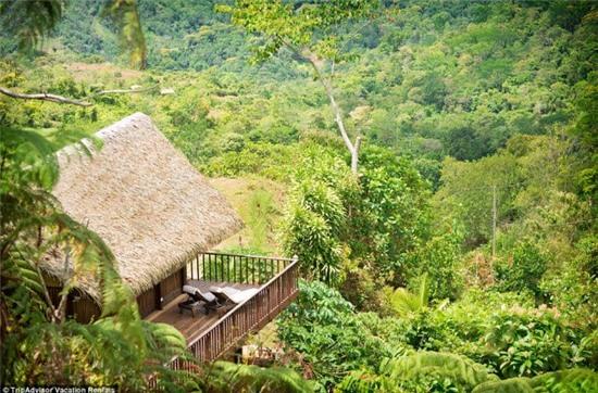 nhung ngoi nha tren cay cuc doc dao khap the gioi hinh anh 21