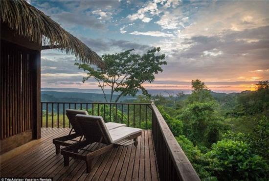 nhung ngoi nha tren cay cuc doc dao khap the gioi hinh anh 22