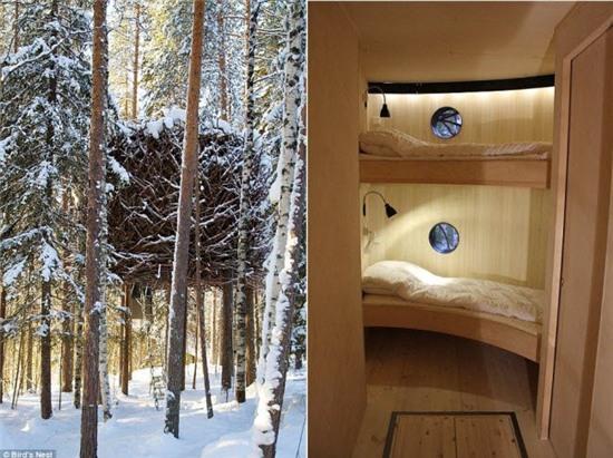 nhung ngoi nha tren cay cuc doc dao khap the gioi hinh anh 24