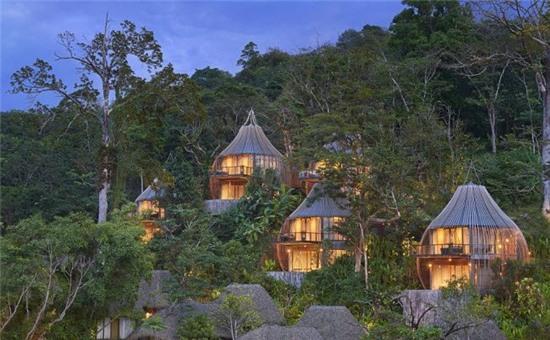 nhung ngoi nha tren cay cuc doc dao khap the gioi hinh anh 6