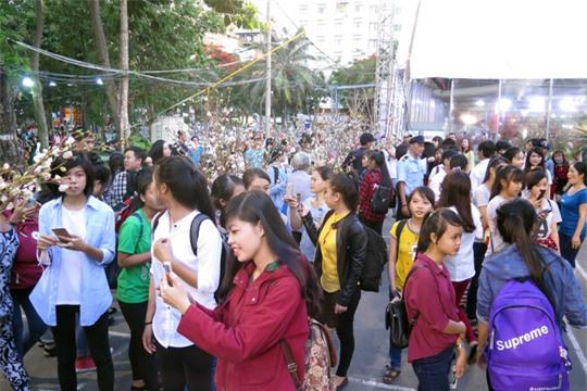 Ngoài trưng bày, sắp đặt 100 cây và 10.000 cành hoa anh đào đến từ đất nước mặt trời mọc, lễ hội còn có nhiều hội thảo xúc tiến thương mại, quảng bá du lịch của Việt Nam và Nhật Bản.