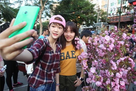 Các bạn trẻ thích thú chụp ảnh với hoa anh đào