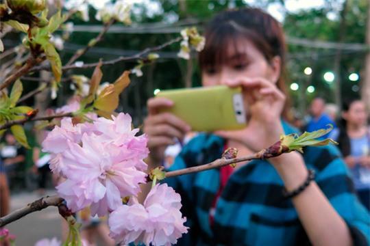 Phải ghi lại những hình ảnh tuyệt đẹp này để tải lên Facebook khoe với bạn bè thôi!